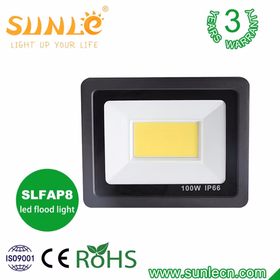 Basic Customization Outdoor LED Lighting Waterproof Floodlight 10W 20W 30W 50W 80W 100W 150W 200W 300W 400W COB SMD LED Flood Light